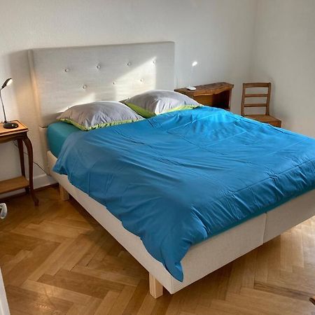 Joli 2 Pieces Dernier Etage, Lausanne Centre מראה חיצוני תמונה