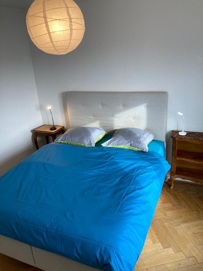 Joli 2 Pieces Dernier Etage, Lausanne Centre מראה חיצוני תמונה