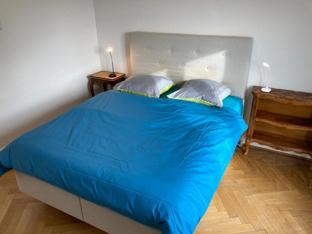 Joli 2 Pieces Dernier Etage, Lausanne Centre מראה חיצוני תמונה
